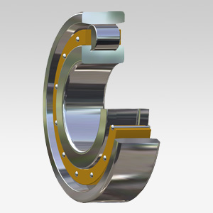 Cylindrical Roller Bearings